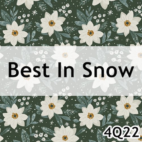 Best In Snow